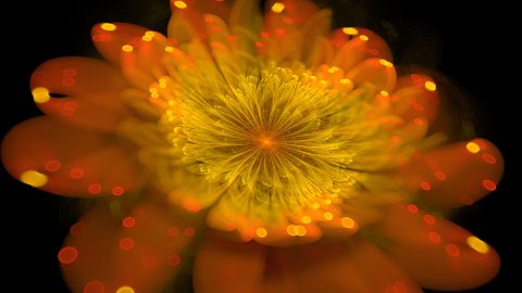 flamelet_example_0043